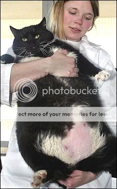 And you call Richie FAT?
